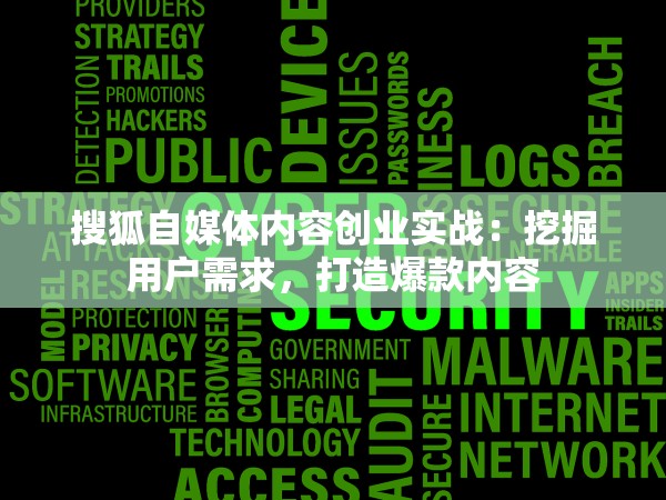 搜狐自媒体内容创业实战：挖掘用户需求，打造爆款内容